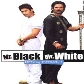 Mr Black Mr White (2008) Full Movie DVD Watch Online Download Free
