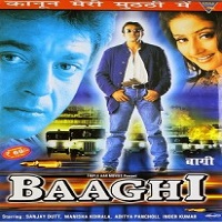 Baaghi (2000) Watch Full Movie Online Download Free