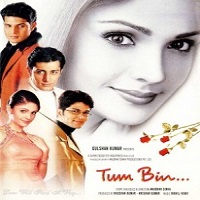 Tum Bin (2001) Watch Full Movie Online Download Free