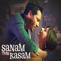Sanam Teri Kasam (2016) Watch Full Movie Online Download Free