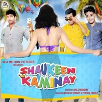 Shaukeen Kaminay (2016) Watch Full Movie Online Download Free