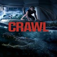 Crawl (2019) Full Movie Watch Online HD Full Movie Online Download Free