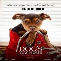 A Dogs Way Home (2019) Hindi Dubbed Full Movie