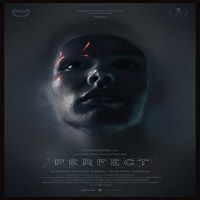 Perfect (2019) Full Movie Watch 720p Quality Full Movie Online Download Free