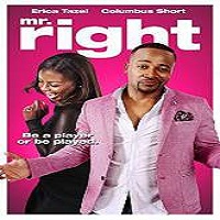 Mr. Right (2015) Full Movie