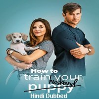 How to Train Your Husband (2017) Hindi Dubbed Full Movie