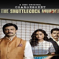 The Chargesheet: Innocent or Guilty (2020) Hindi Season 1
