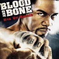 Blood and Bone (2009) Hindi Dubbed Full Movie