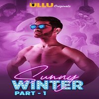 Sunny Winter Part 1 (2020) Hindi Season 1 Complete Online Watch DVD Print Download Free