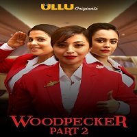 Woodpecker Part: 2 (2020) Hindi ULLU Season 01 Complete Online Watch DVD Print Download Free