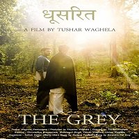 Dhoosarit: The Grey (2020) Hindi