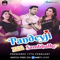 Pandeyji Zara Sambhalke (2021) Hindi Season 1 Complete