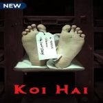 Koi Hai (2021) Hindi Season 1 Complete