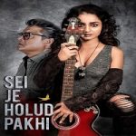 Vaidehi (Shei Je Holud Pakh 2021) Season 2 Hindi Dubbed Hoichoi