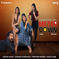 Meter Down (2021) Hindi Season 1 Complete Online Watch DVD Print Download Free