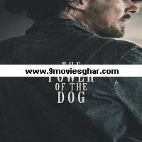 The Power of the Dog (2021) English