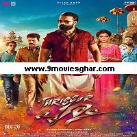 The Real Don Returns 2 (Thrissur Pooram) (2021) Hindi Dubbed Full Movie Online Watch DVD Print Download Free