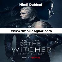 The Witcher (2021) Hindi Dubbed Season 2 Complete Online Watch DVD Print Download Free