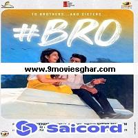 Bro (2021) Unofficial Hindi Dubbed Full Movie Online Watch DVD Print Download Free