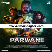 Parwane (2022) Hindi Season 1 Complete