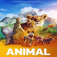 Animal (2022) Hindi Dubbed Season 2 Complete