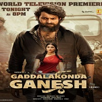 Gaddalakonda Ganesh (2019) Hindi Dubbed