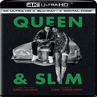 Queen and Slim (2019) Hindi Dubbed