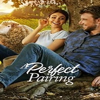 A Perfect Pairing (2022) Hindi Dubbed