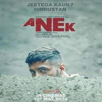 Anek (2022) Hindi