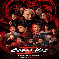 Cobra Kai (2022) Hindi Dubbed Season 5 Complete