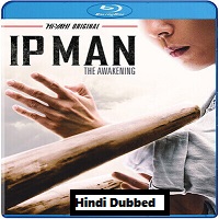 Ip Man: The Awakening (2021) Hindi Dubbed