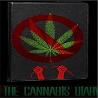 The Cannabis Diary (2022) Hindi Full Movie Online Watch DVD Print Download Free