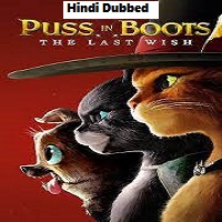 Puss in Boots The Last Wish (2022) Hindi Dubbed