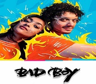 Bad Boy (2023) Hindi Full Movie Online Watch DVD Print Download Free