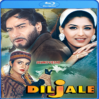 Diljale (1996) Hindi Full Movie Online Watch DVD Print Download Free