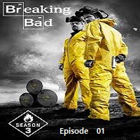 Breaking Bad (2010 Ep 01) Hindi Dubbed Season 3 Online Watch DVD Print Download Free