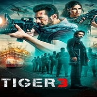 Tiger 3 (2023) Hindi Full Movie Online Watch DVD Print Download Free